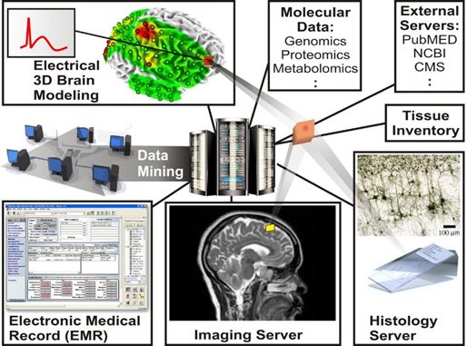 Intuition data types and tissue