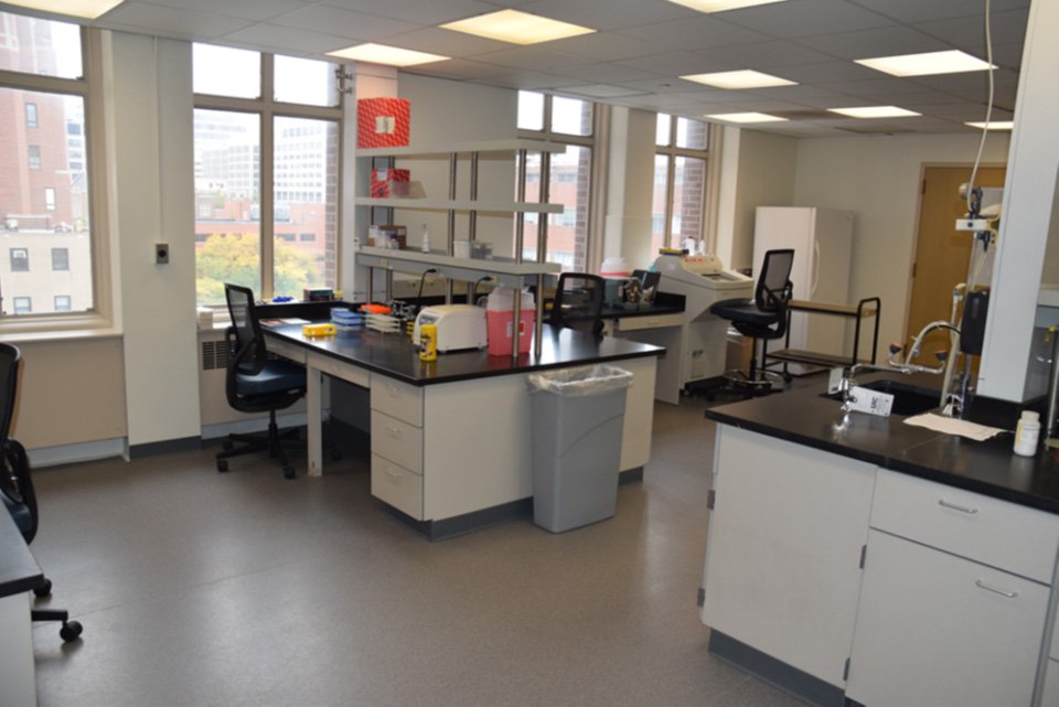 Laboratory