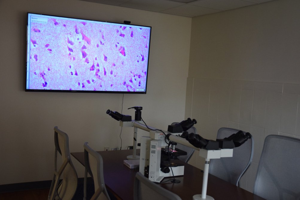 Microscope room