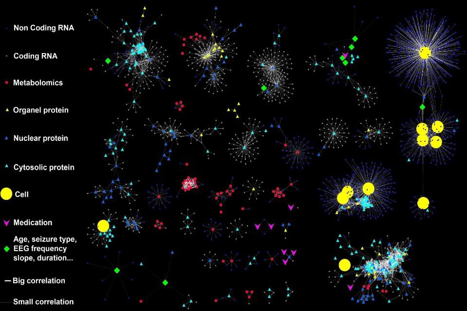 Integrative multi-omics data linked to brain tissue